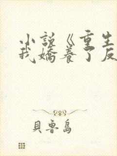 小说《重生后,我娇养了反派摄政王》