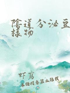 阴道分泌豆腐渣样物