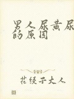 男人尿黄尿味骚的原因