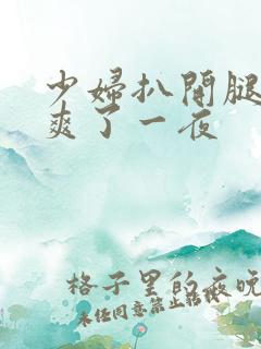 少妇扒开腿让我爽了一夜