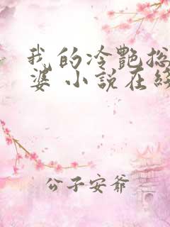 我的冷艳总裁老婆 小说在线阅读