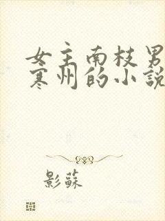 女主南枝男主傅寒州的小说