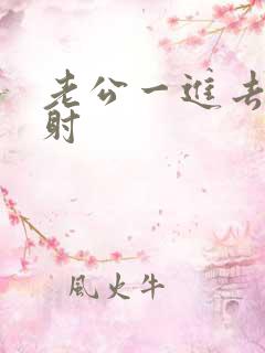 老公一进去就想射