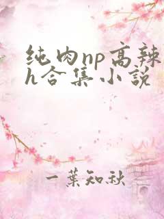 纯肉np高辣文h合集小说