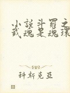 小说斗罗之我的武魂是魂环