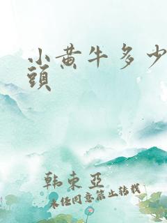 小黄牛多少钱一头