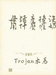 母猪产后没奶水用什么催奶快