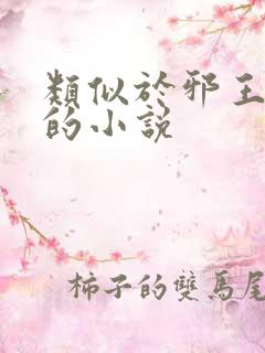 类似于邪王追妻的小说