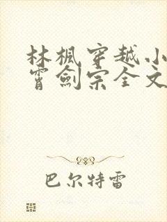 林枫穿越小说神霄剑宗全文阅读