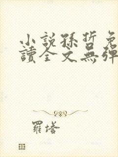 小说孙哲免费阅读全文无弹窗