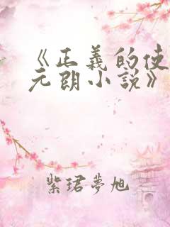 《正义的使命厉元朗小说》