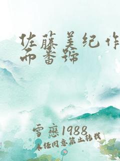 佐藤美纪作品封面番号