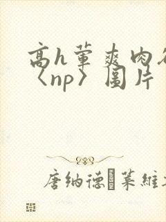 高h荤爽肉欲文〈np〉图片