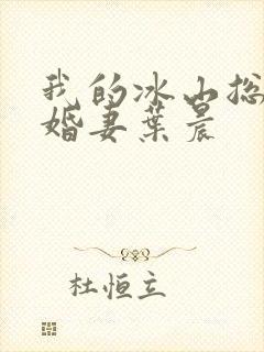 我的冰山总裁未婚妻叶晨