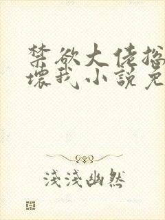 禁欲大佬总想宠坏我小说免费阅读