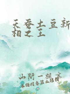 天蚕土豆新作万相之王