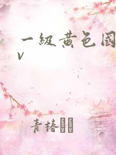 一级黄色国产av