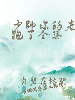 少帅你的老婆又跑了全集