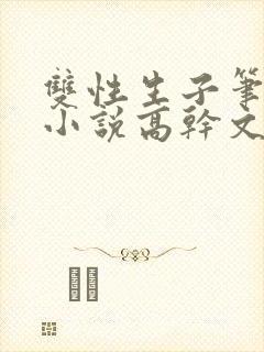 双性生子笔趣阁小说高干文