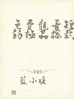 免费观看短剧我的极品总裁老婆