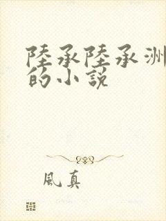 陆承陆承洲顾芒的小说