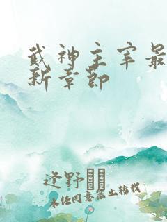 武神主宰最新更新章节