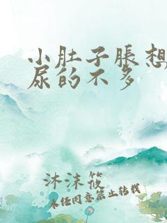 小肚子胀想尿却尿的不多