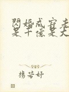 闪婚成宠老公竟是千亿是大佬