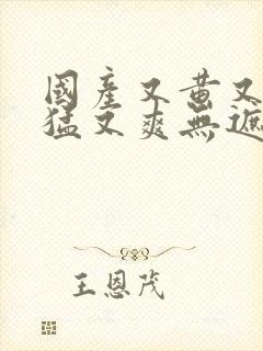 国产又黄又粗又猛又爽无遮挡