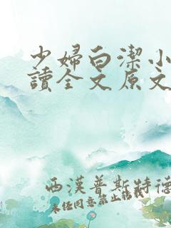 少妇白洁小说阅读全文原文