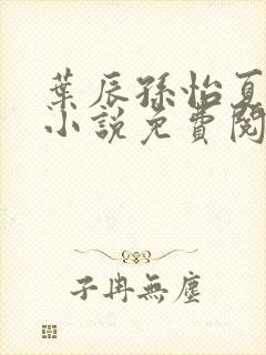 叶辰孙怡夏若雪小说免费阅读