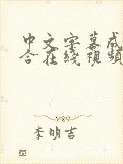 中文字幕成人综合在线视频