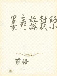 男主姓封的所有豪门总裁小说