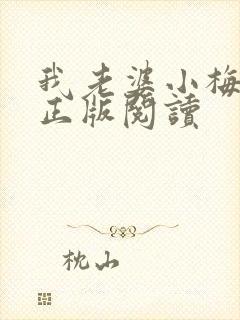 我老婆小梅小说正版阅读