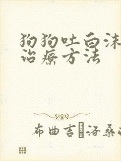 狗狗吐白沫最快治疗方法