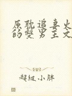 原耽追妻火葬场的双男主文推荐