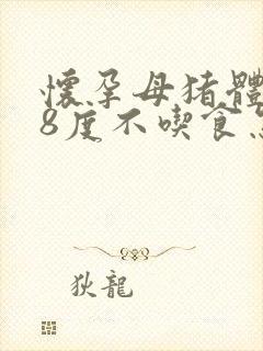 怀孕母猪体温38度不吃食怎么办