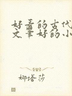 好看的古代言情文笔好的小说