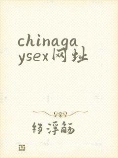 chinagaysex网址