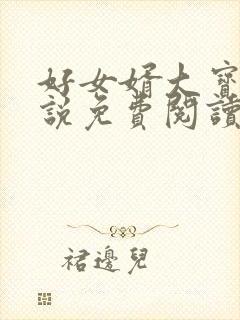 好女婿大宝贝小说免费阅读