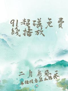91超碰免费在线播放
