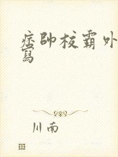 痞帅校霸外貌描写