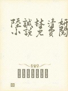 陆诚林清妍主角小说免费阅读