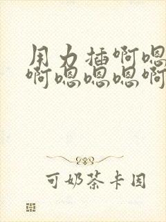 用力插啊嗯好爽啊嗯嗯嗯啊啊