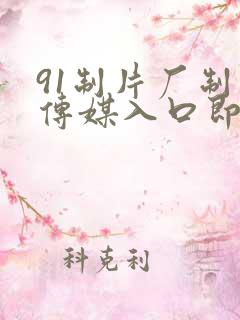 91制片厂制作传媒入口即化