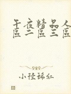 午夜精品人妻一区二区三区