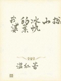 我的冰山总裁老婆叶帆