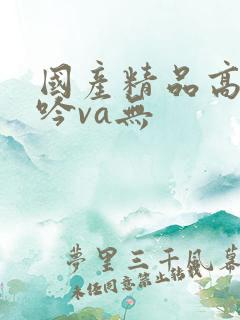 国产精品高潮呻吟va无