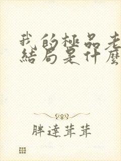 我的极品老婆大结局是什么