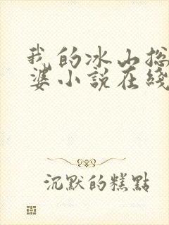 我的冰山总裁老婆小说在线
